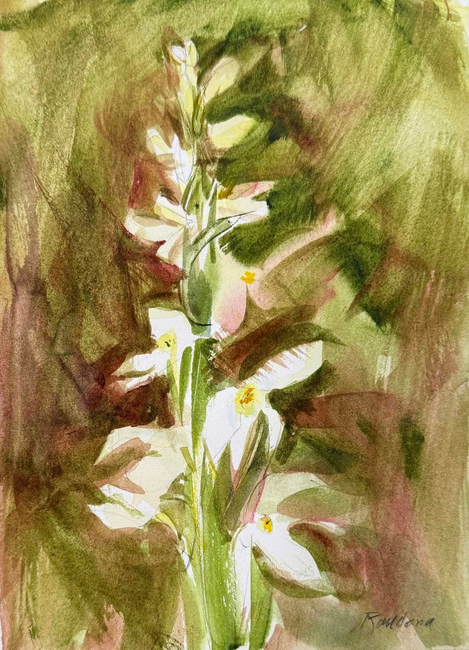 Bog Orchid by Randena Walsh