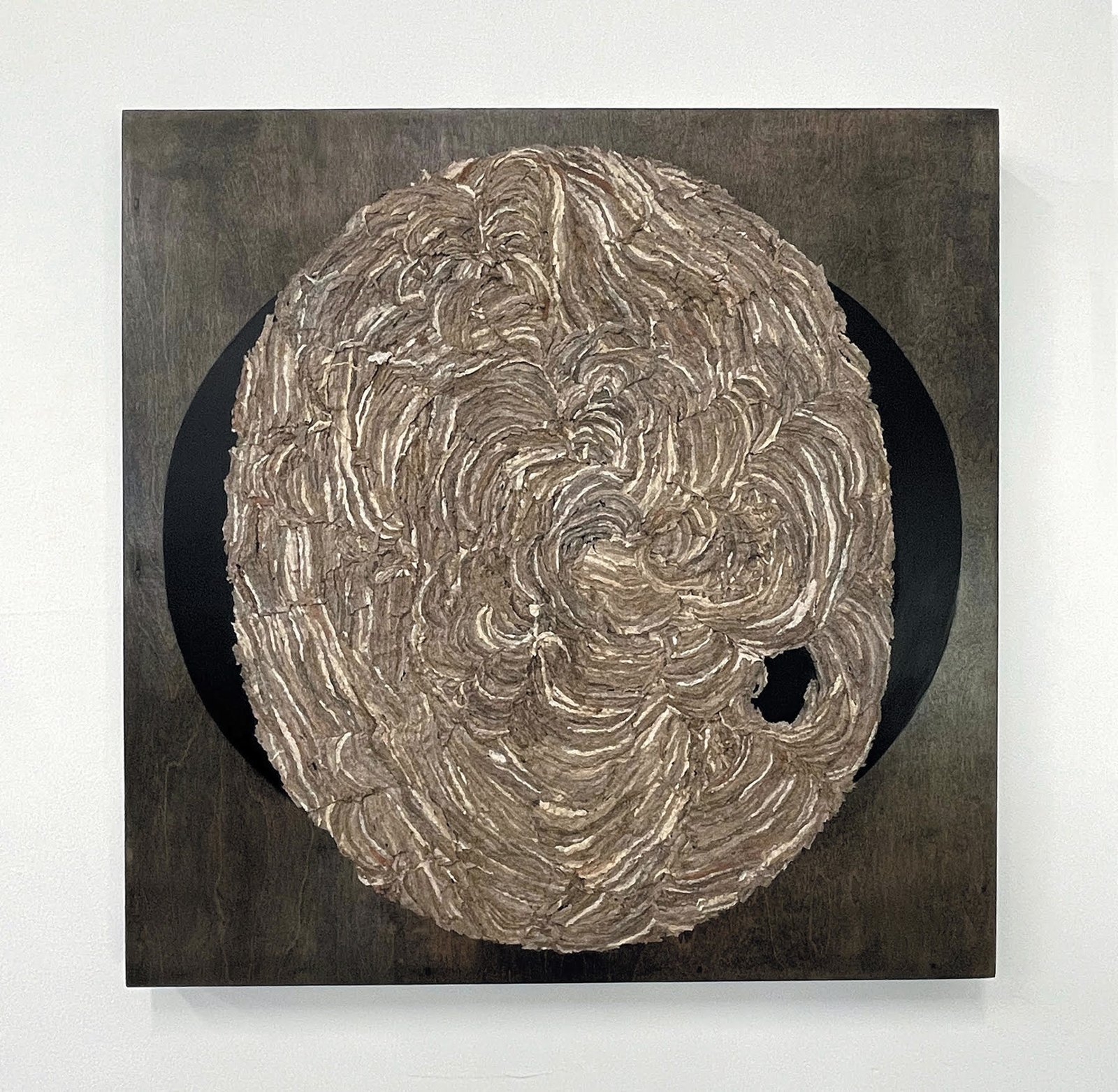 Ellipse by Julie Anne Mann