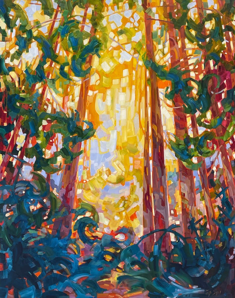 Cathedral Grove