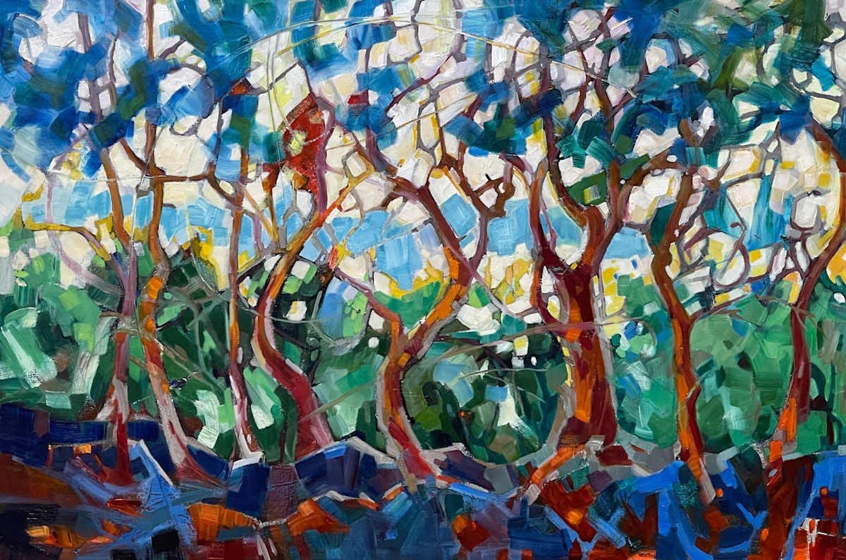 Spirit’s In The Trees