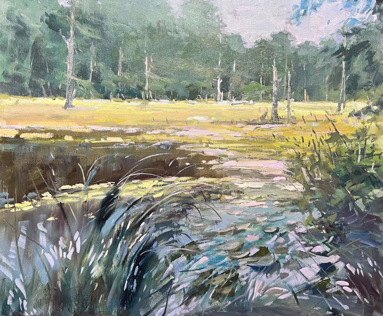 Recovering Wetland