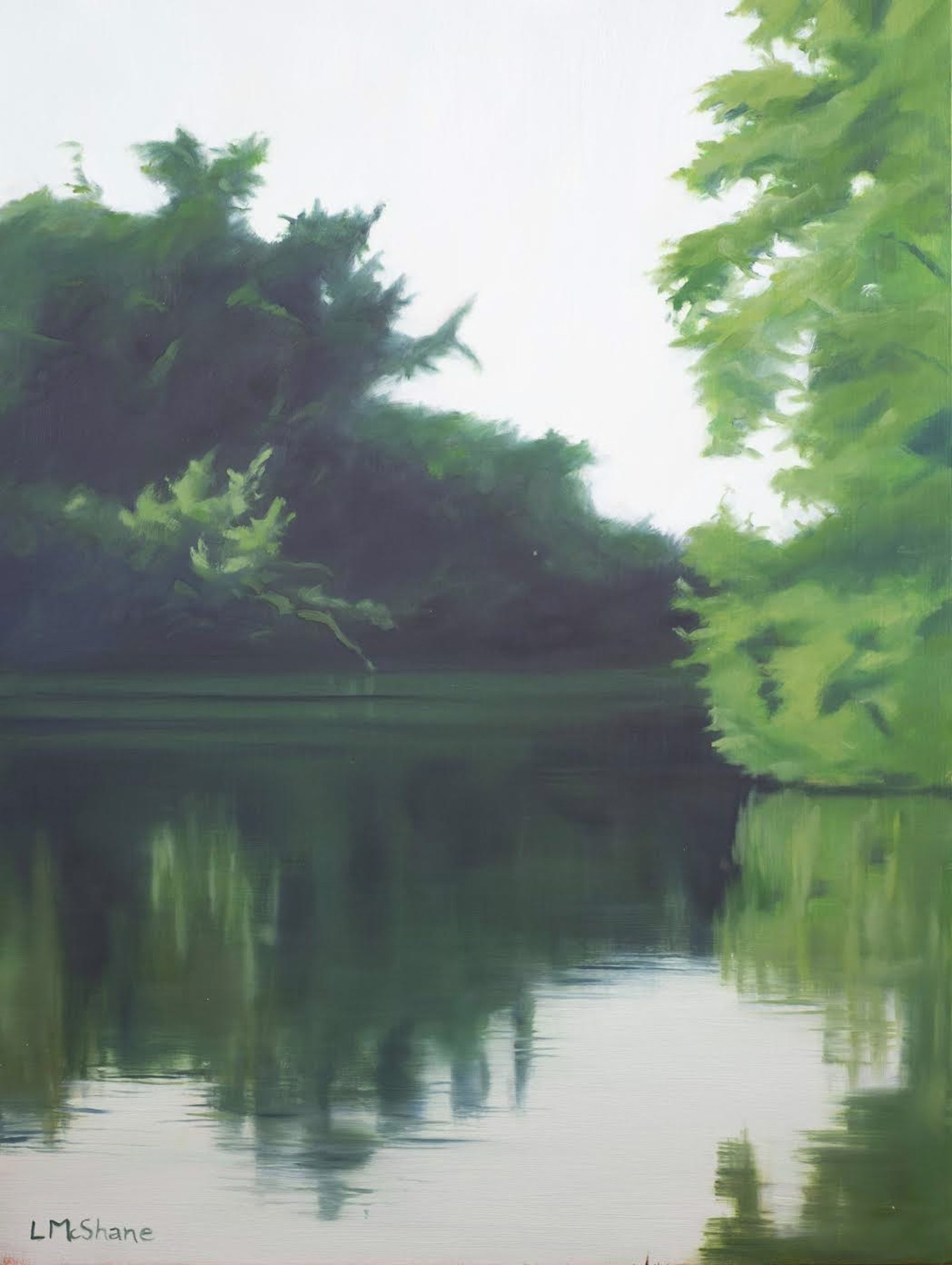 Flooded River by Lisa McShane by Lisa McShane