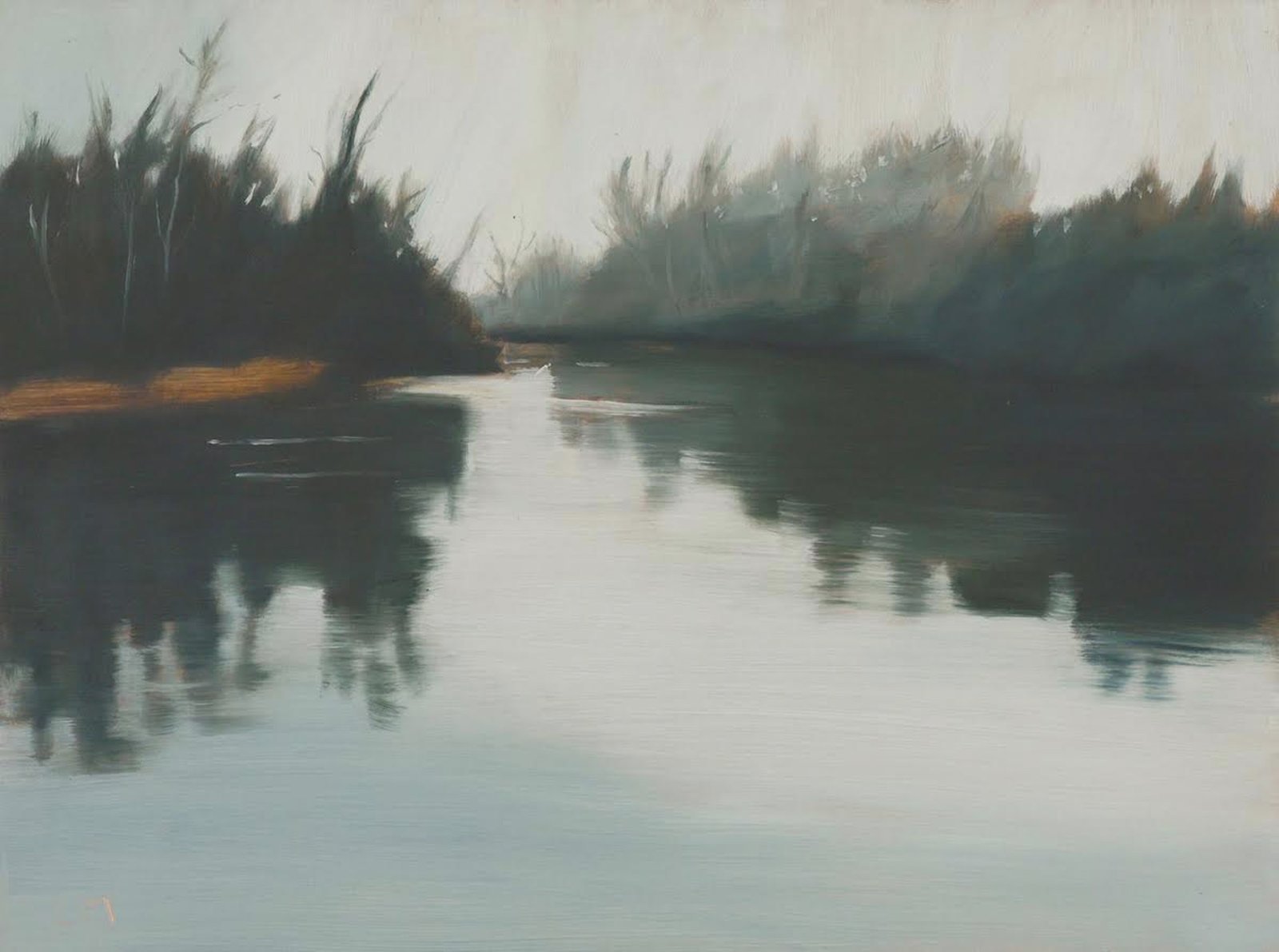Foggy Delta by Lisa McShane by Lisa McShane