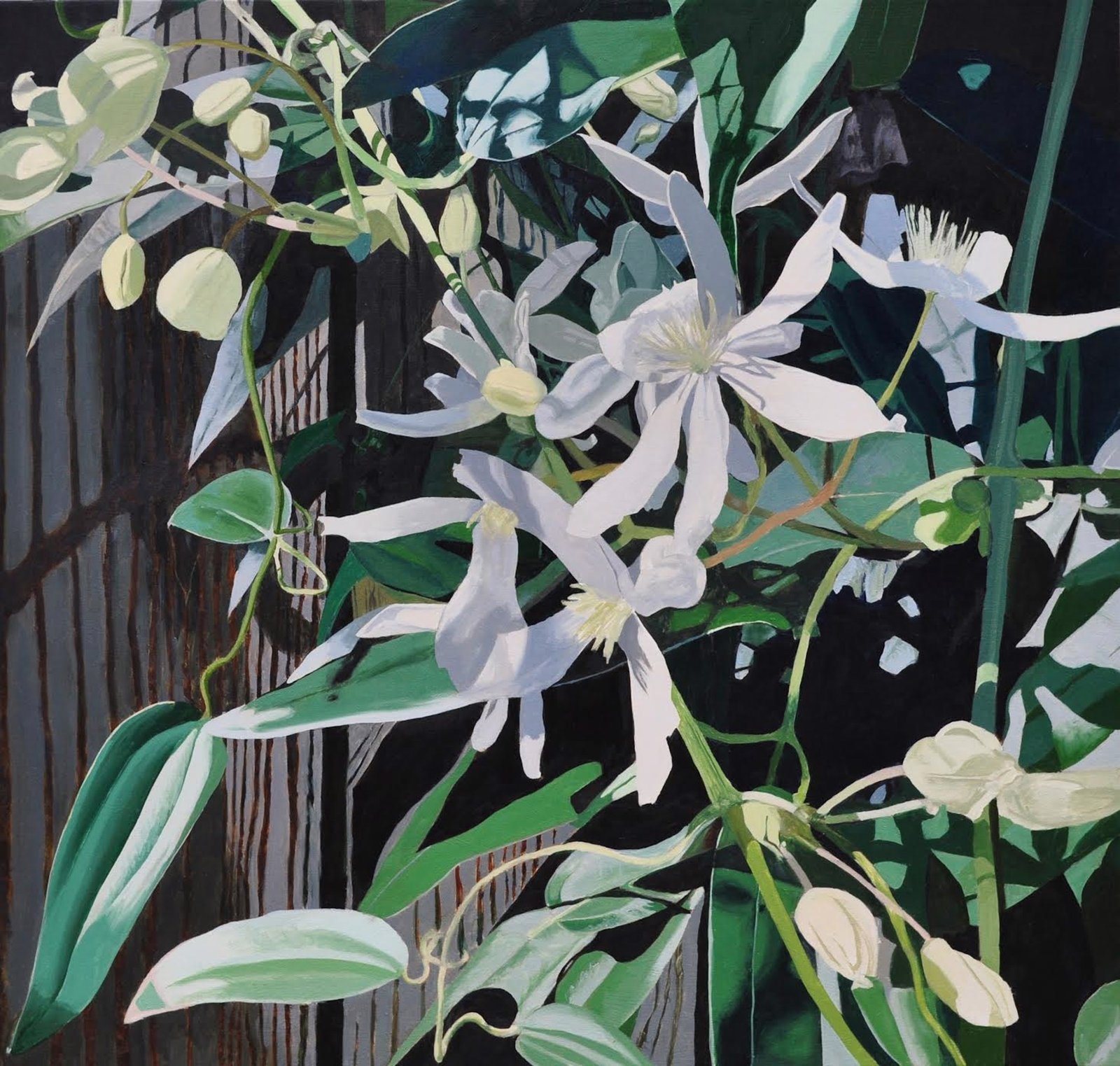 Bigger Blooms by Neal Philpott