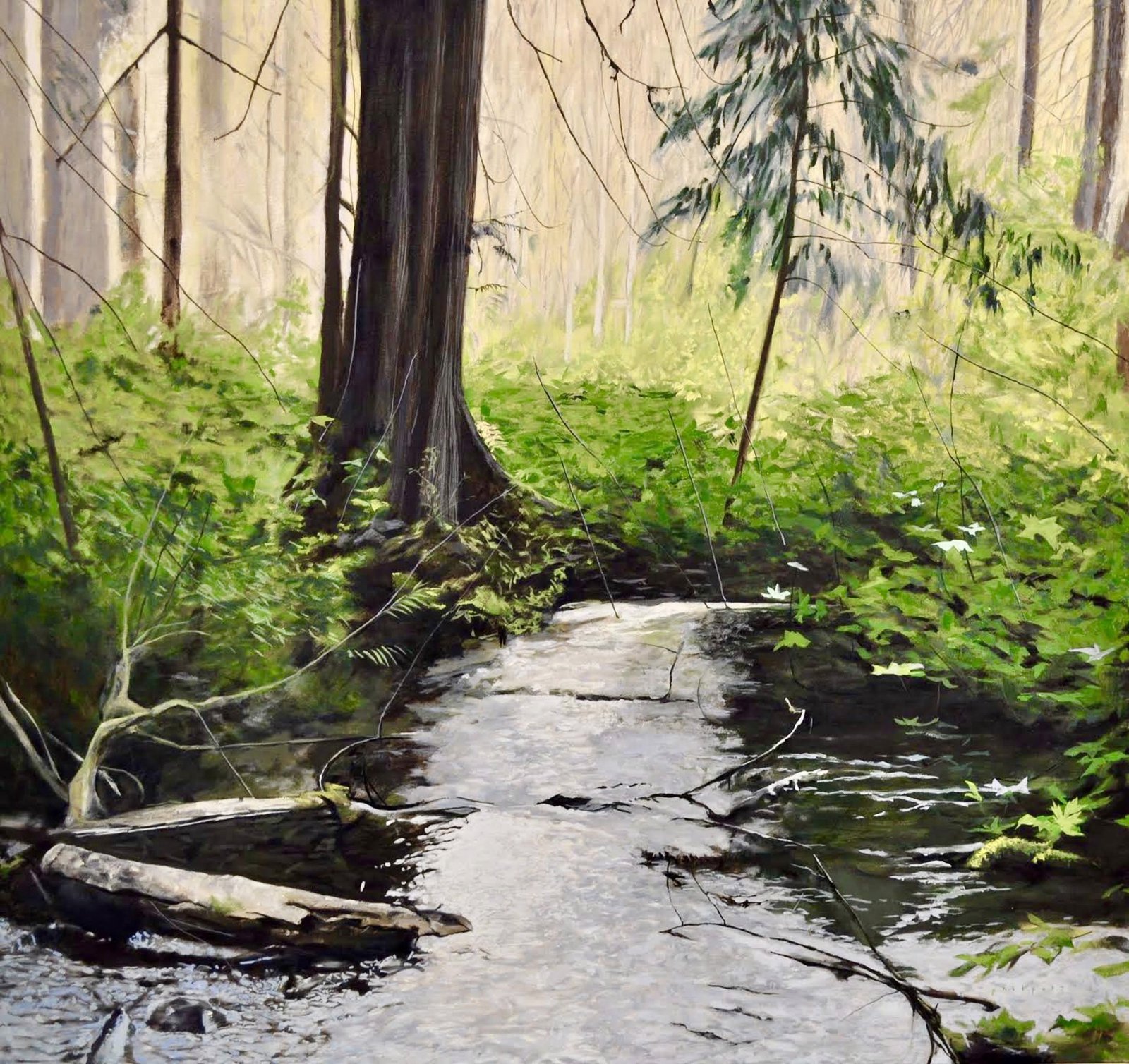 River Solace