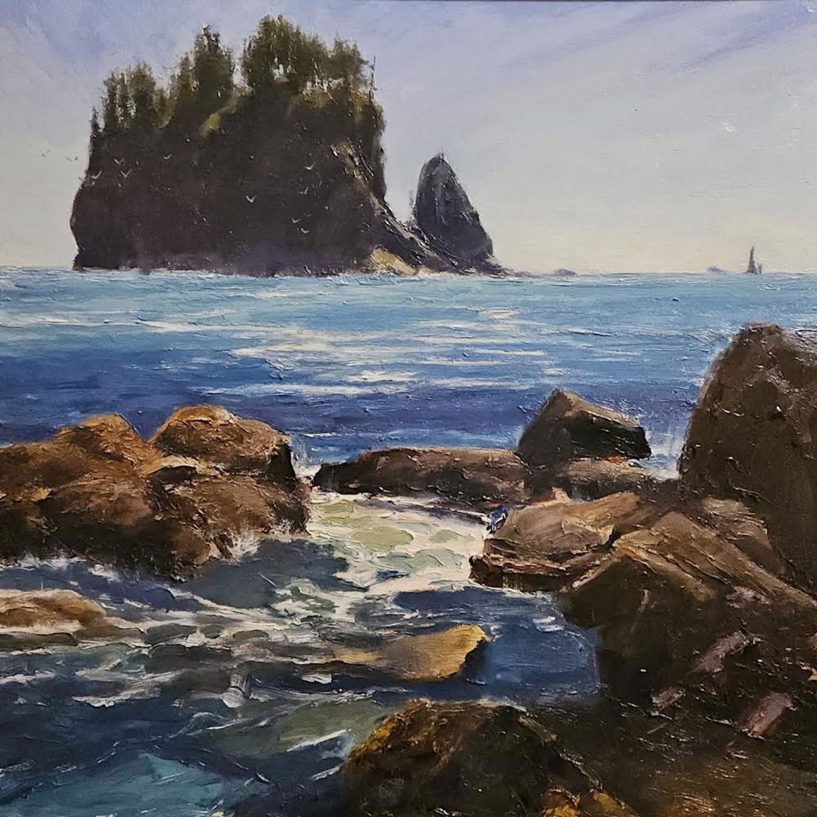 The Pacific Coast La Push