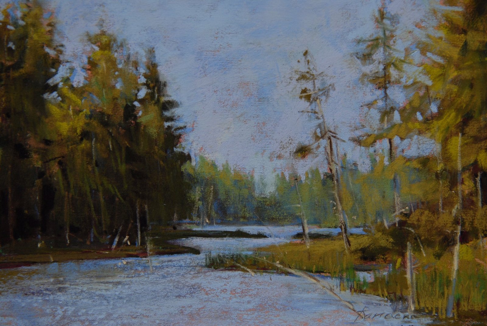 Spring Pond, 2024
